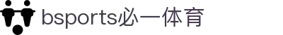 必一(运动科技有限公司)官方网站-B·Sport"